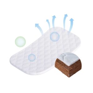 Nệm xơ dừa Pakey dày 5cm