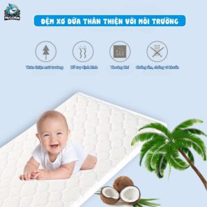 Nôi cũi gỗ Pakey CG01
