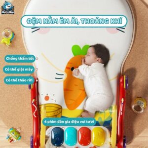 Thảm nhạc đàn 2in1 TN02