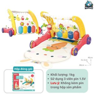 Thảm nhạc đàn 2in1 TN02