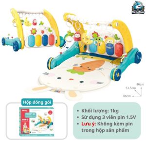 Thảm nhạc đàn 2in1 TN02