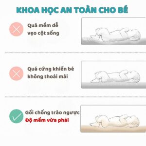 Gối chống trào ngược G01