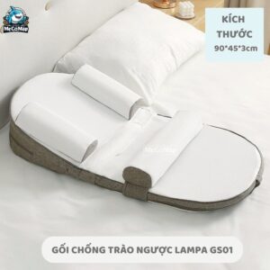 Gối chống trào ngược G01