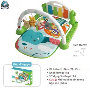 Thảm nhạc đàn TN01