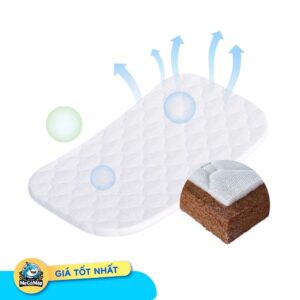Nệm xơ dừa Pakey
