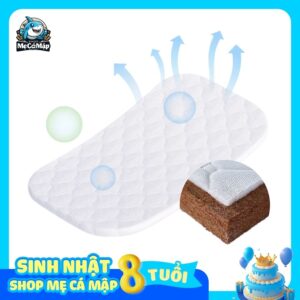 Nệm xơ dừa Pakey