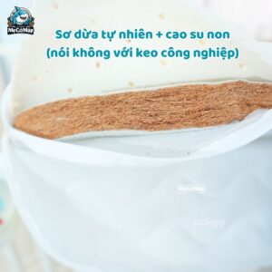 Nêm xơ dừa Pakey dày 5cm