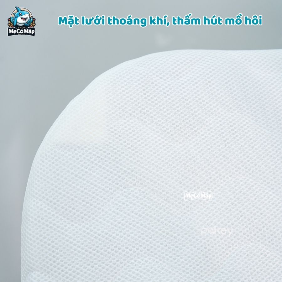 nem-so-dua-pakey (3) Nêm xơ dừa Pakey dày 5cm