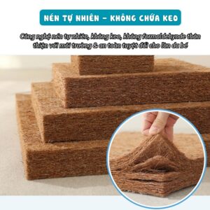 Nêm xơ dừa Pakey dày 5cm