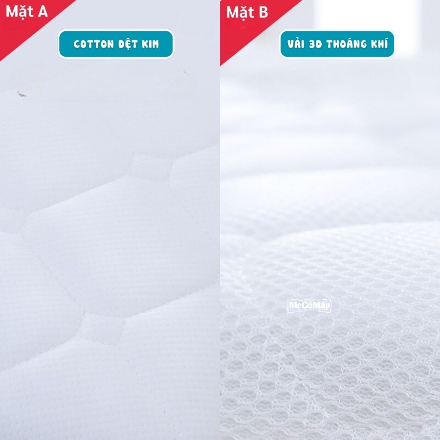 nem-so-dua-pakey (6) Nêm xơ dừa Pakey dày 5cm