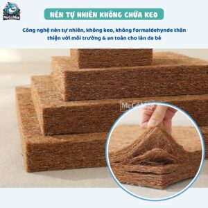 Nệm xơ dừa Pakey dày 4cm