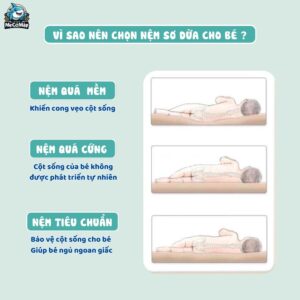Nệm xơ dừa Pakey dày 4cm