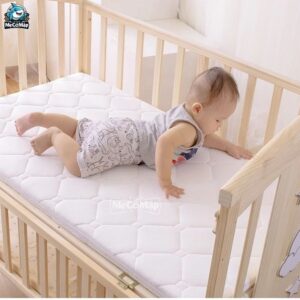 Nệm xơ dừa Pakey dày 4cm