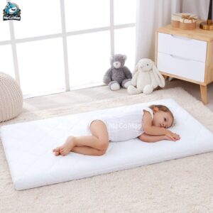 Nệm xơ dừa Pakey dày 4cm