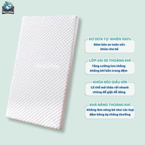 Nệm xơ dừa Pakey dày 4cm