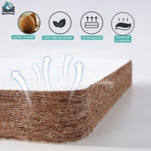 Nệm xơ dừa Pakey dày 4cm