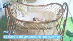 Có nên cho trẻ sơ sinh nằm nôi tre hay không? Nên lưu ý gì?