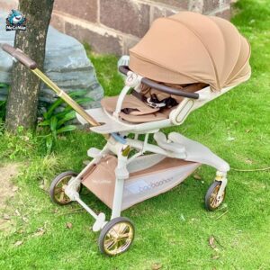 Xe đẩy gấp gọn 2 chiều Baobaohao V16 Pro