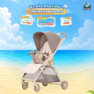 Xe đẩy gấp gọn 2 chiều Baobaohao A12