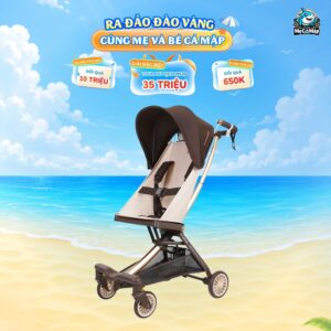Xe đẩy gấp gọn Baobaohao V12 màu nâu